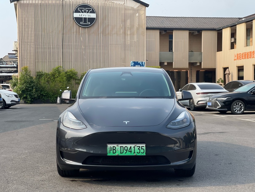 Tesla Model Y 2024 car image #2