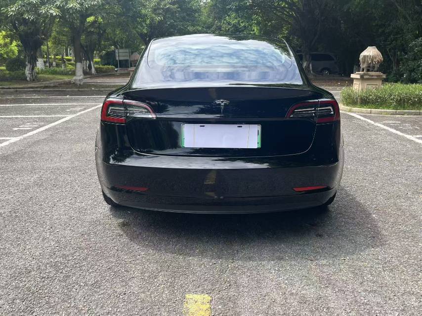 Tesla Model 3 2020 #4 Tesla Model 3 2020 car image #4