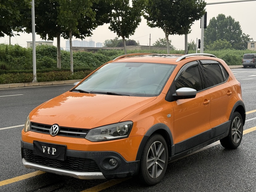 Volkswagen Polo 2014 car image 