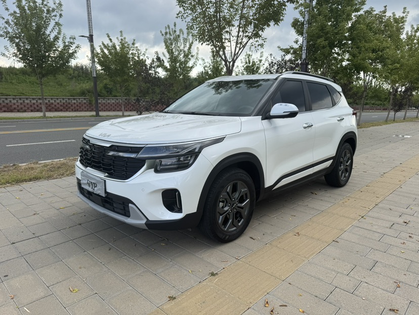 Kia Seltos 2023 car image 