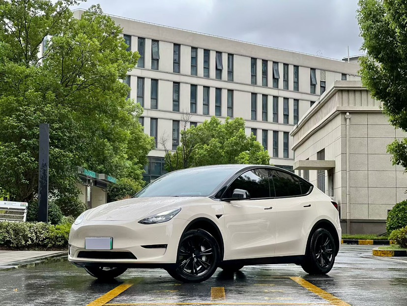 Tesla Model Y 2023 Tesla Model Y 2023 car image