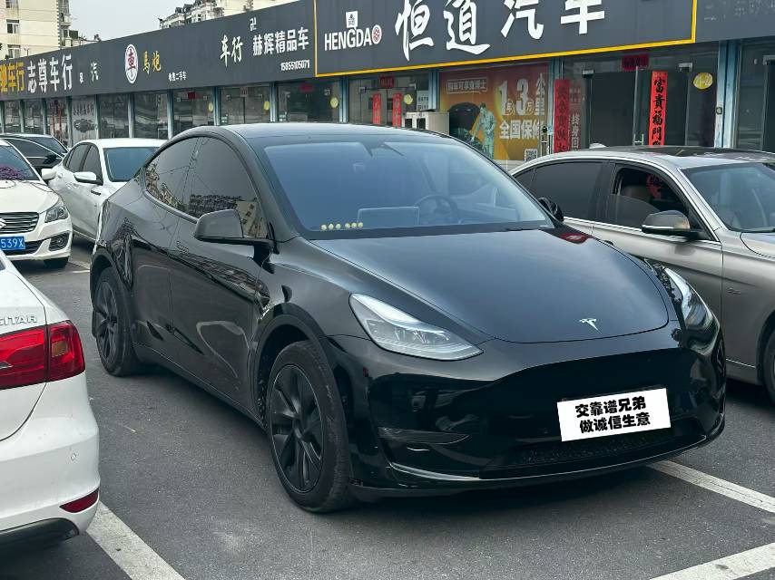 Tesla Model Y 2023 Tesla Model Y 2023 car image