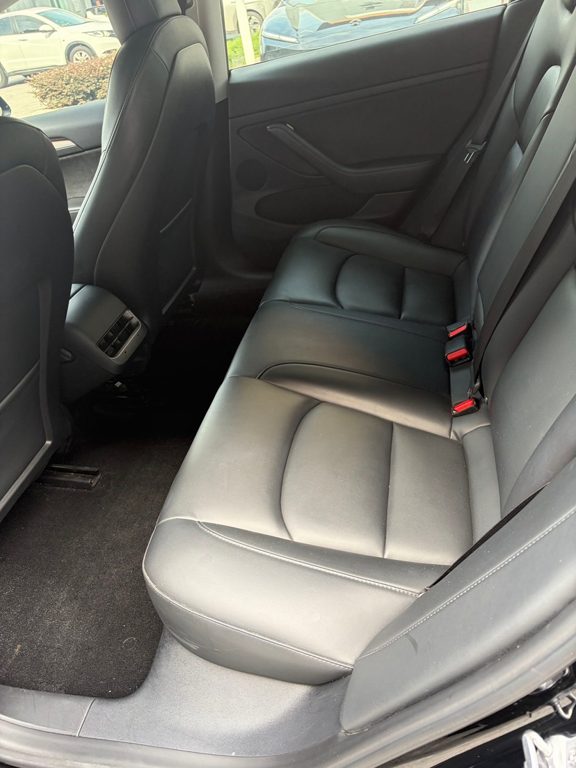 Tesla Model 3 2021 car image #8