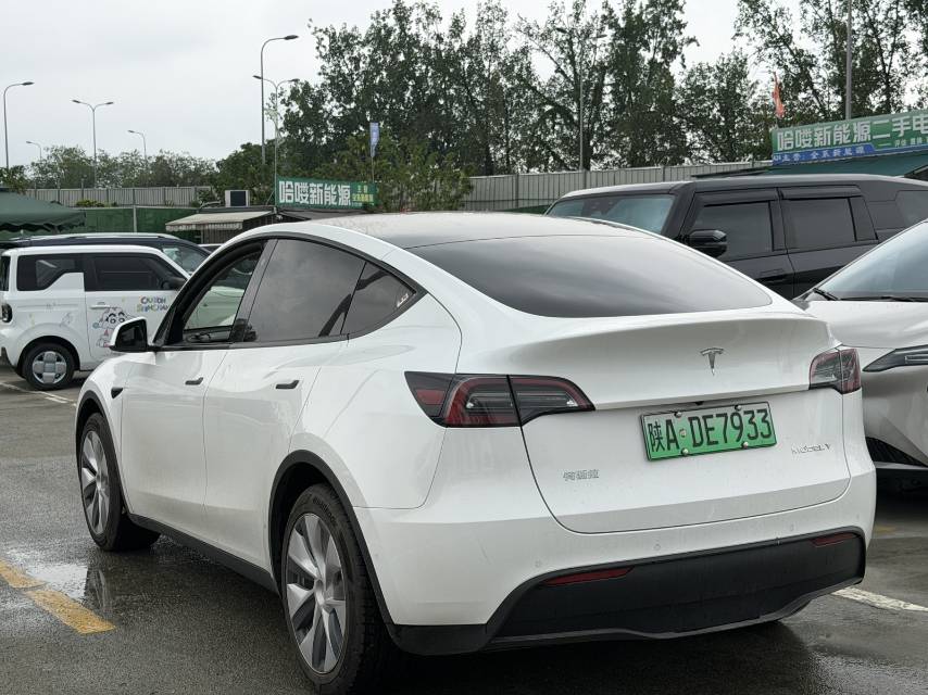 Tesla Model Y 2021 car image #9