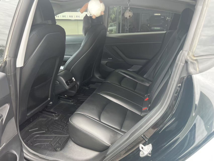 Tesla Model 3 2020 #6 Tesla Model 3 2020 car image #6