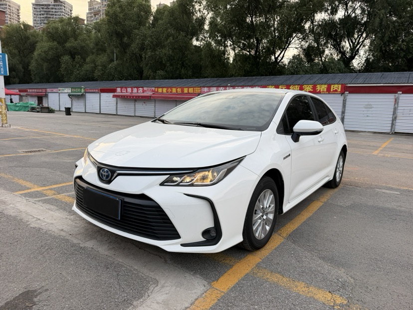 Toyota Corolla 2023 Toyota Corolla 2023 car image