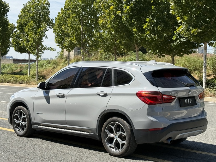 BMW X1 2017 car image #9