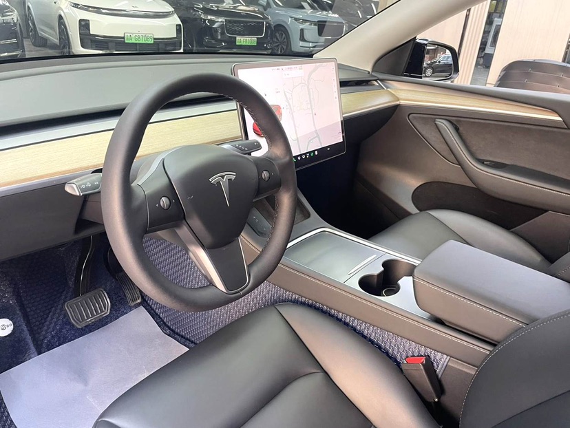 Tesla Model Y 2021 #9 Tesla Model Y 2021 car image #9