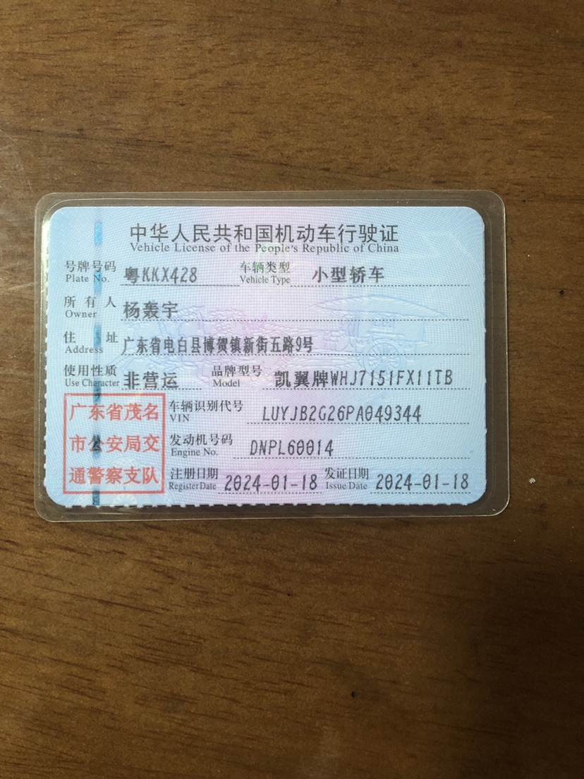 凯翼 炫界Pro 2024 汽车图片 #10