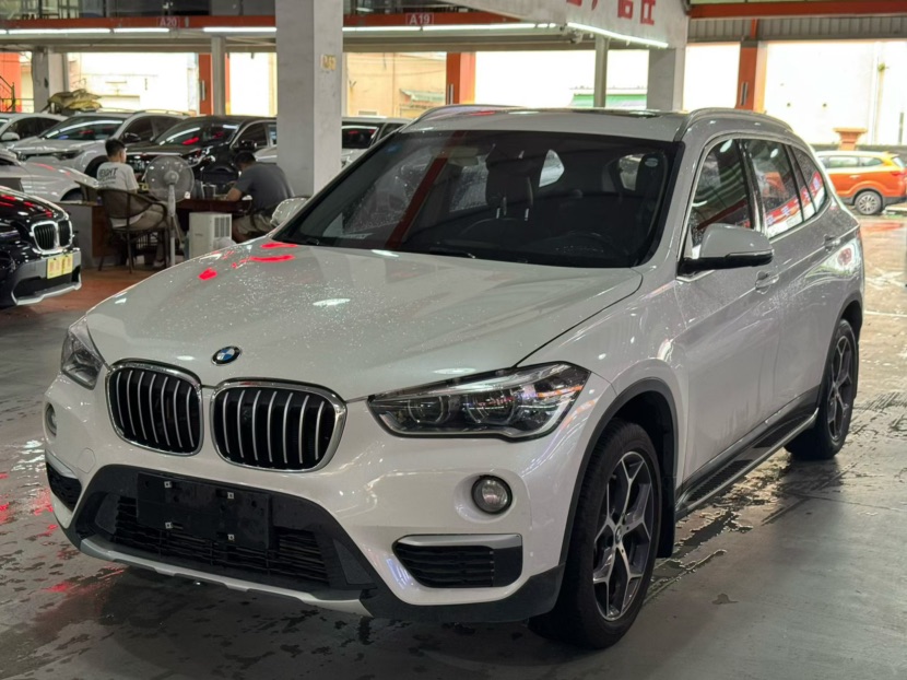 BMW X1 2019 BMW X1 2019 car image