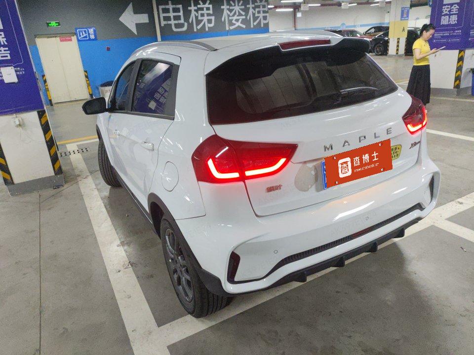 Livan X3 PRO 2023 car image #2