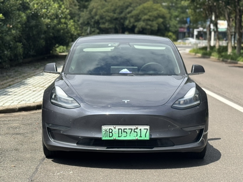Tesla Model 3 2020 изображение автомобиля 