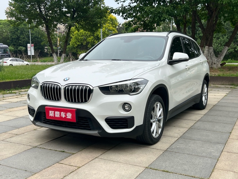 BMW X1 2019 car image 