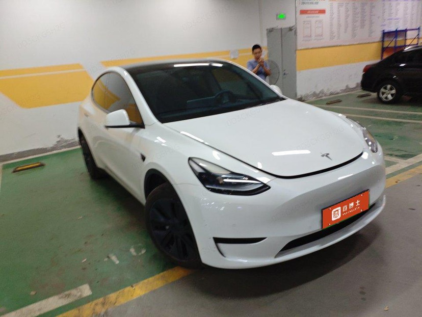 Tesla Model Y 2024 car image #2