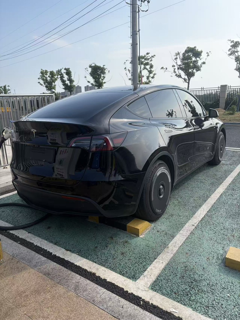 Tesla Model Y 2021 #5 Tesla Model Y 2021 car image #5