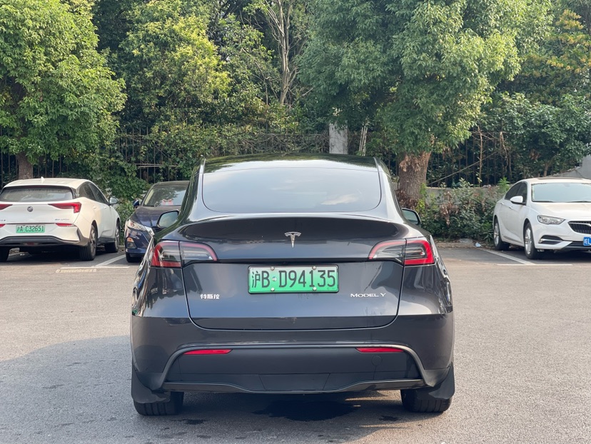 Tesla Model Y 2024 car image #8