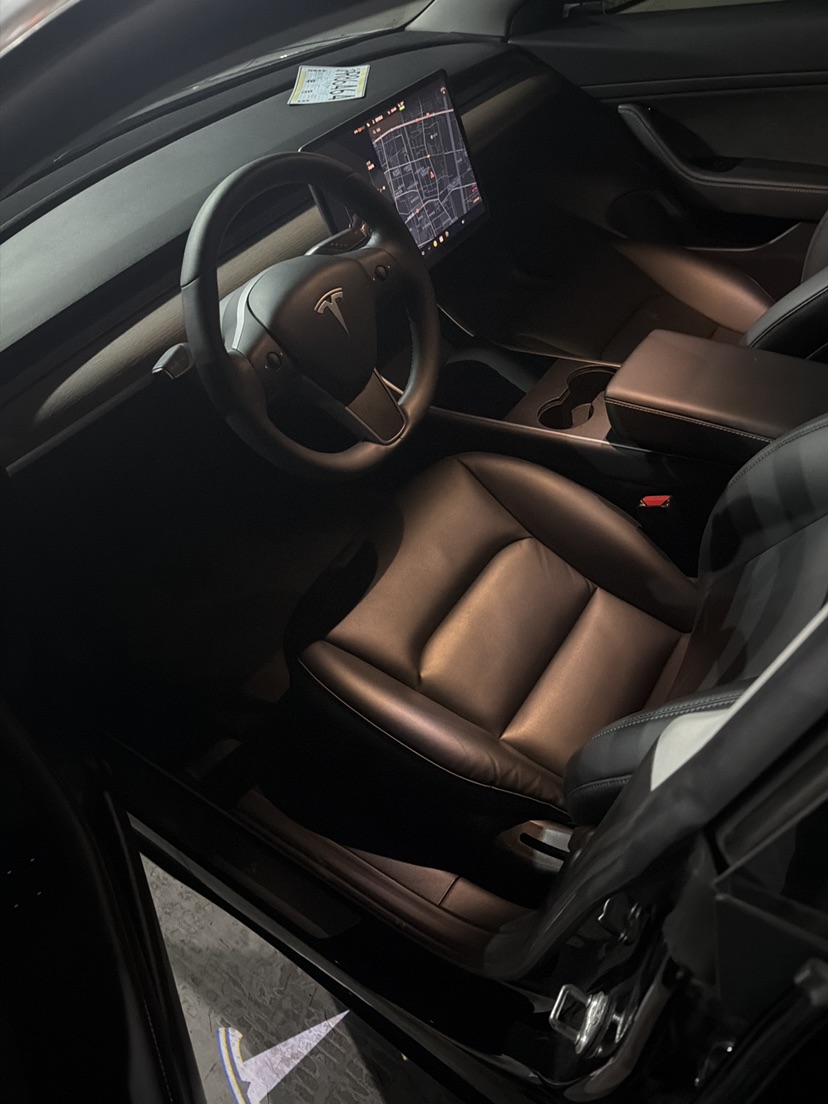 Tesla Model 3 2020 car image #2