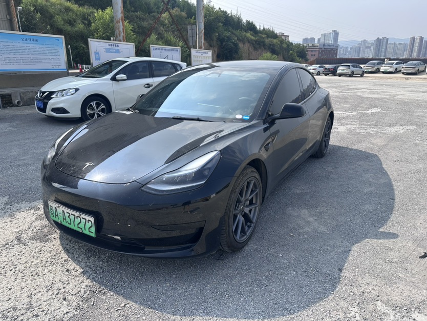 Tesla Model 3 2022 car image 