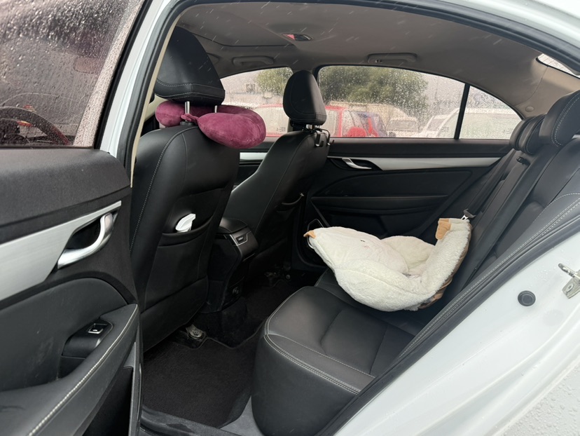 GEELY Emgrand 2019 car image #6