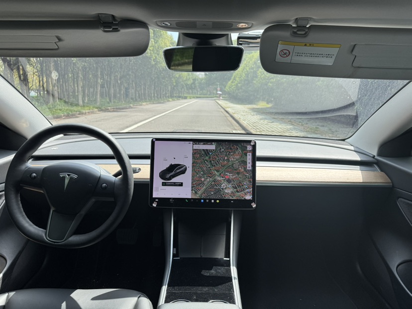 Tesla Model 3 2020 изображение автомобиля #6