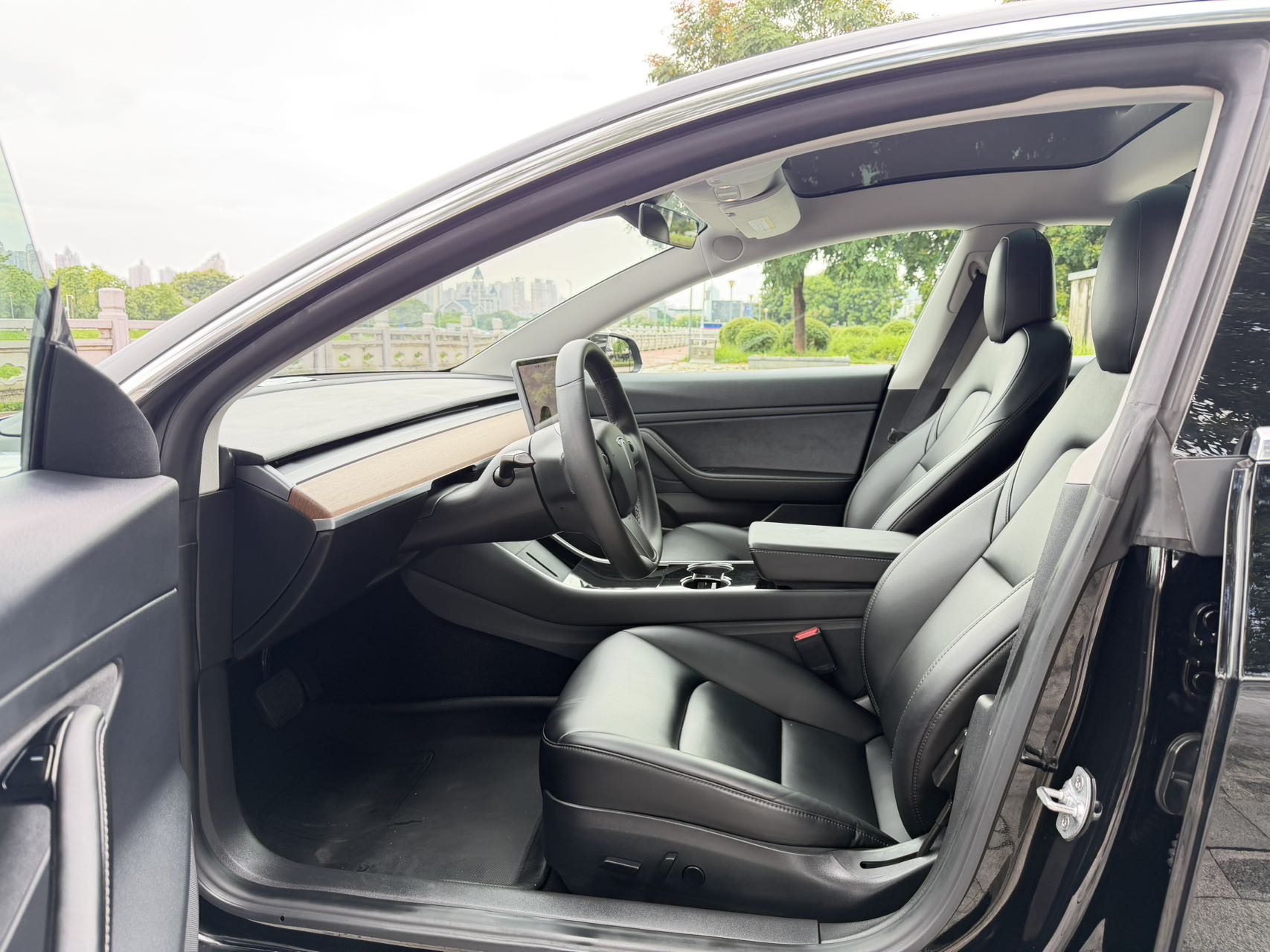 Tesla Model 3 2020 car image #4