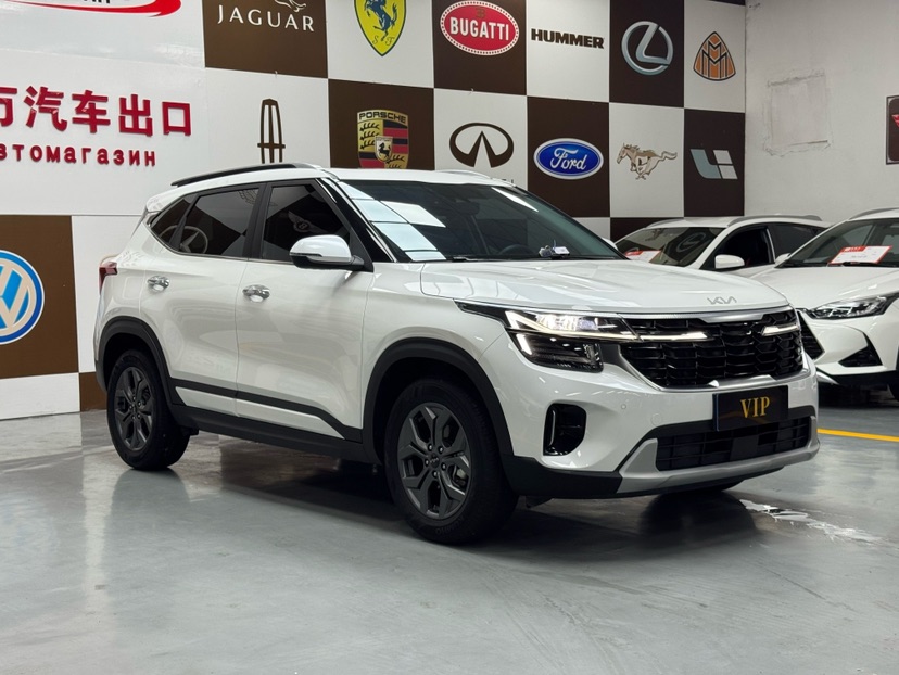 Kia Seltos 2024 car image #3