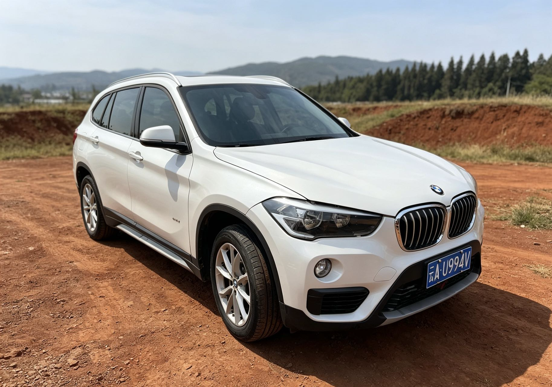 BMW X1 2017 car image #3