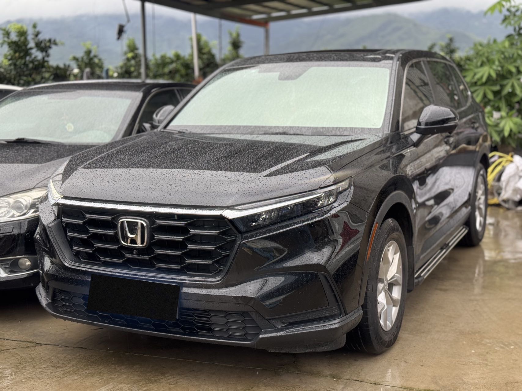 Honda CR-V 2023 Honda CR-V 2023 car image