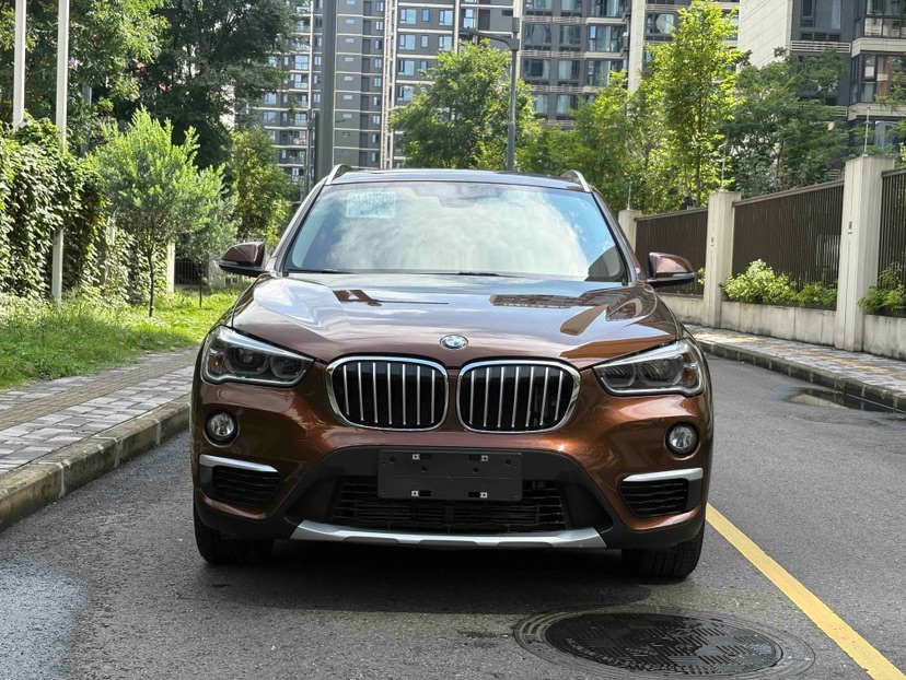 BMW X1 2017 car image #2