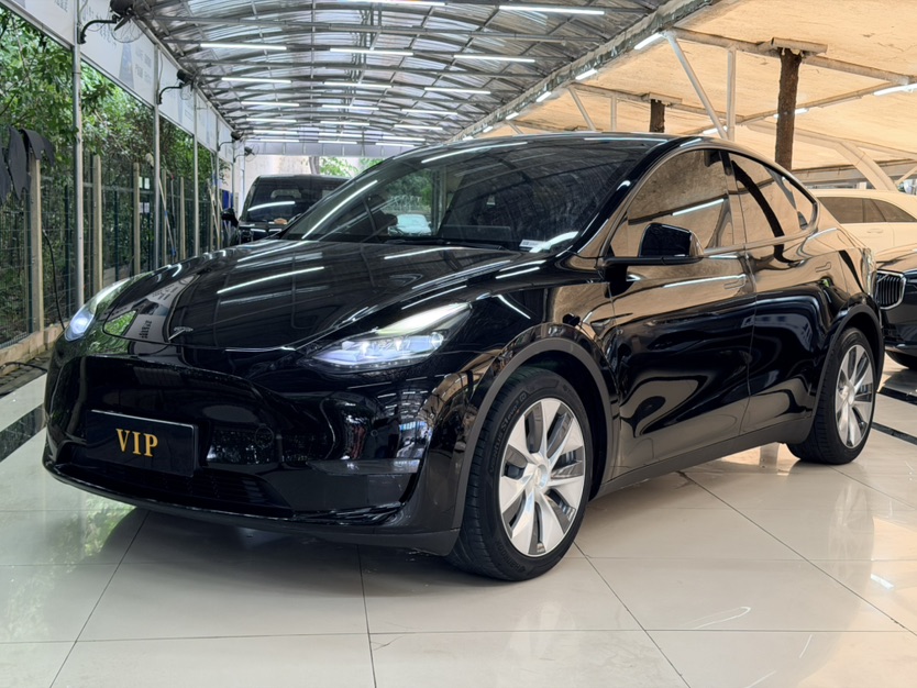 Tesla Model Y 2021 #2 Tesla Model Y 2021 car image #2