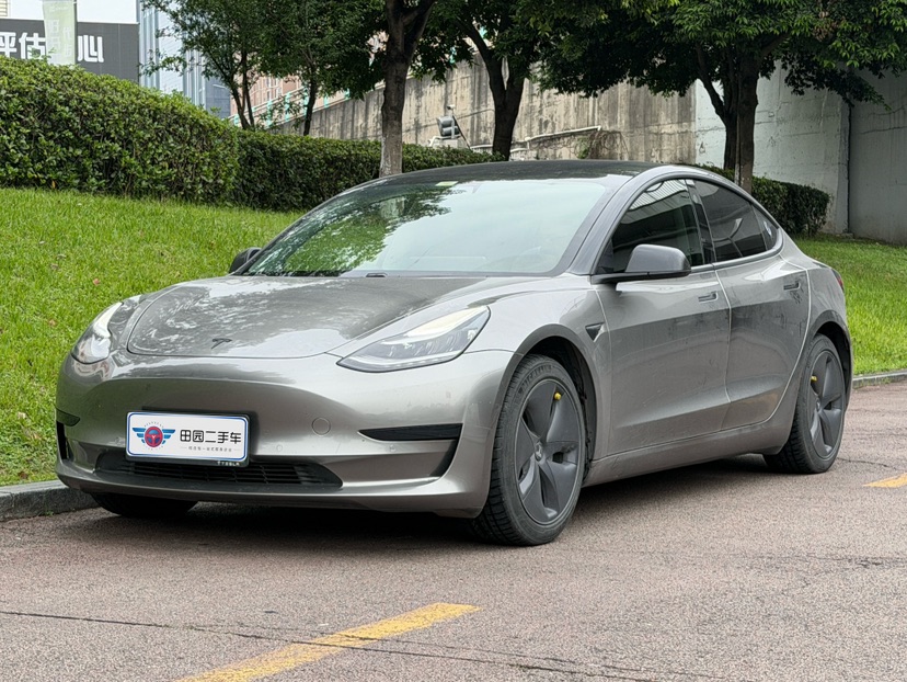 Tesla Model 3 2020 Tesla Model 3 2020 car image