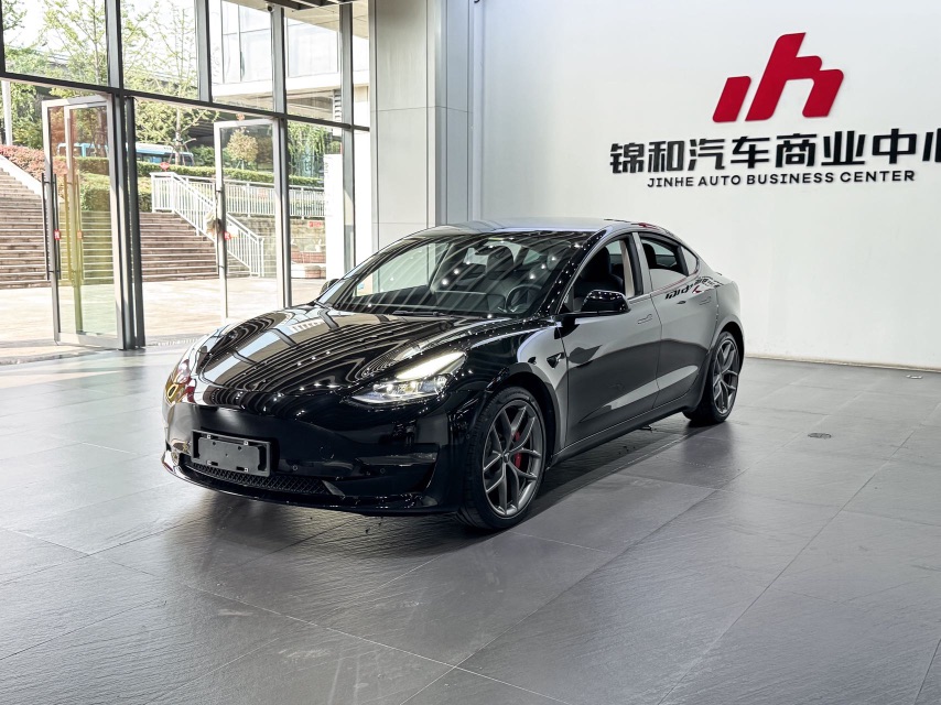 Tesla Model 3 2021 Tesla Model 3 2021 car image
