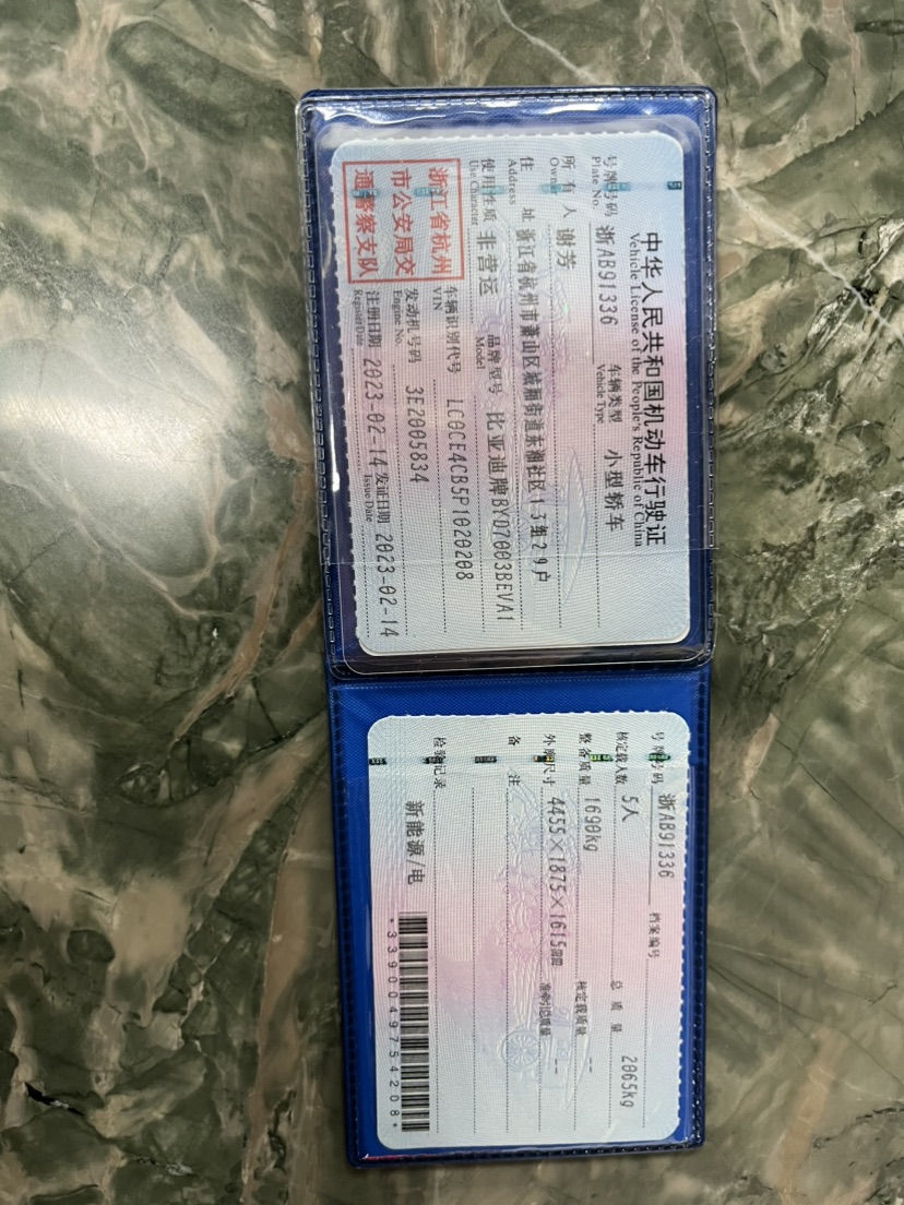 BYD Yuan Plus 2023 car image #7