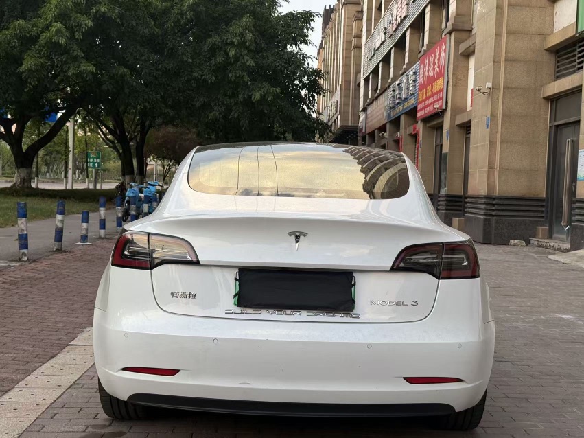Tesla Model 3 2020 #5 Tesla Model 3 2020 car image #5