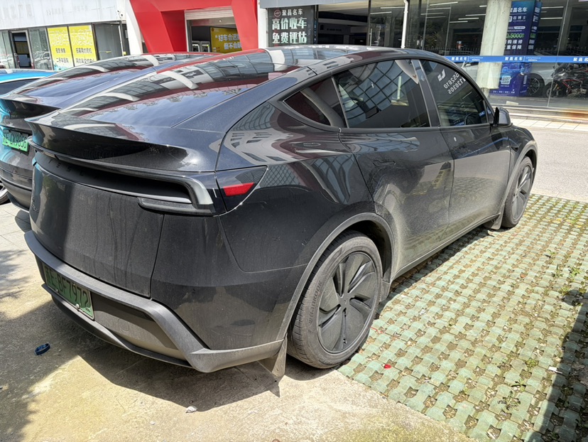 Tesla Model Y 2025 car image #6