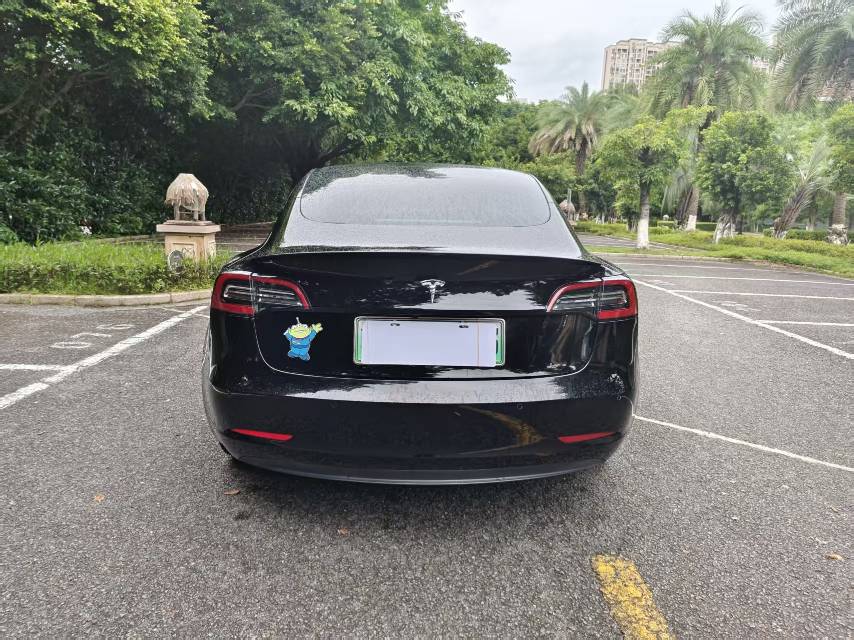 Tesla Model 3 2020 #5 Tesla Model 3 2020 immagine di auto #5
