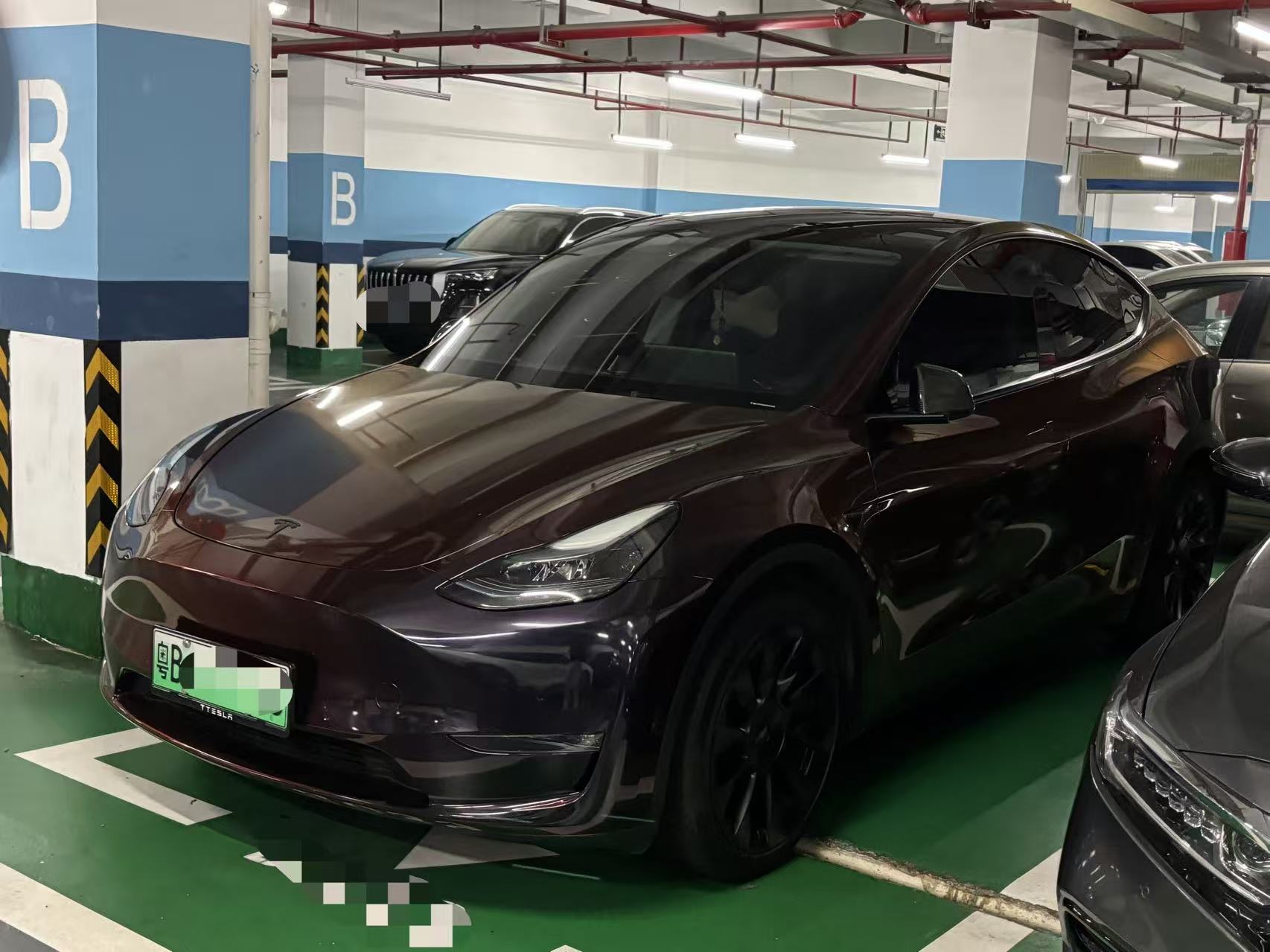 Tesla Model Y 2023 Tesla Model Y 2023 car image