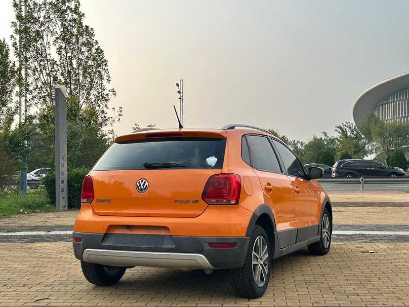 Volkswagen Polo 2013 car image #4
