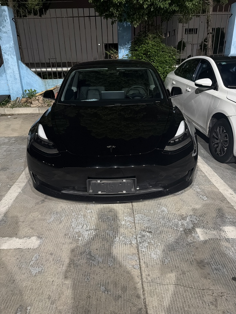 Tesla Model 3 2020 car image 