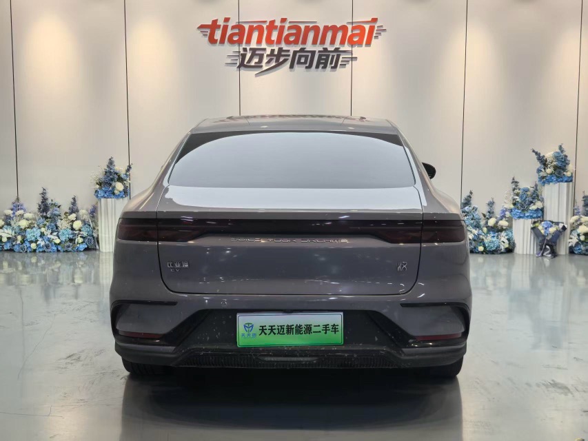 BYD Han 2024 car image #8