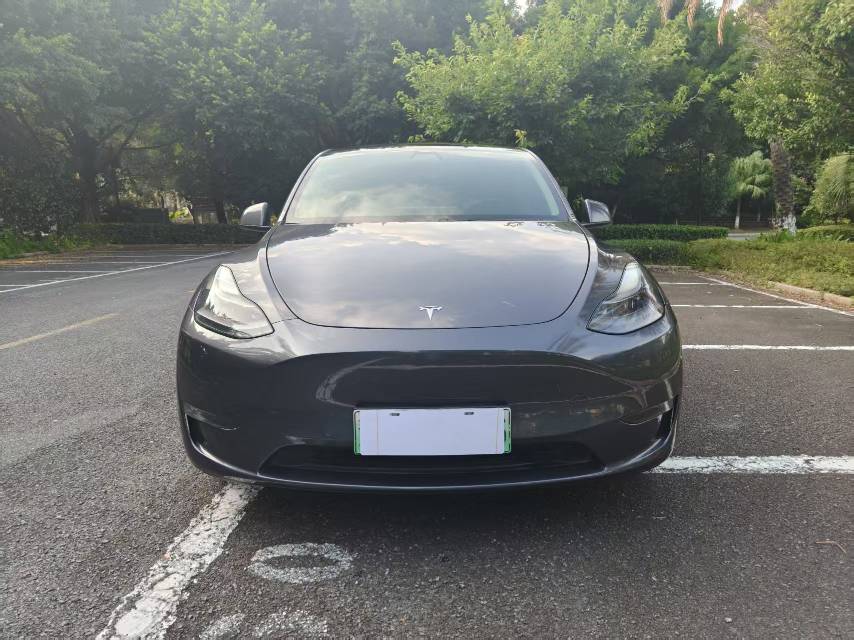 Tesla Model Y 2021 #2 Tesla Model Y 2021 car image #2