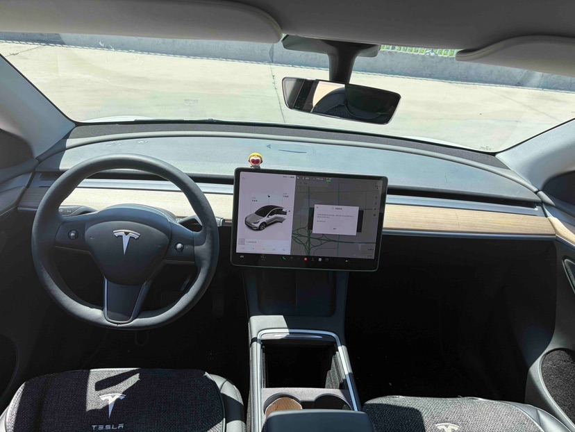 Tesla Model Y 2021 #2 Tesla Model Y 2021 car image #2