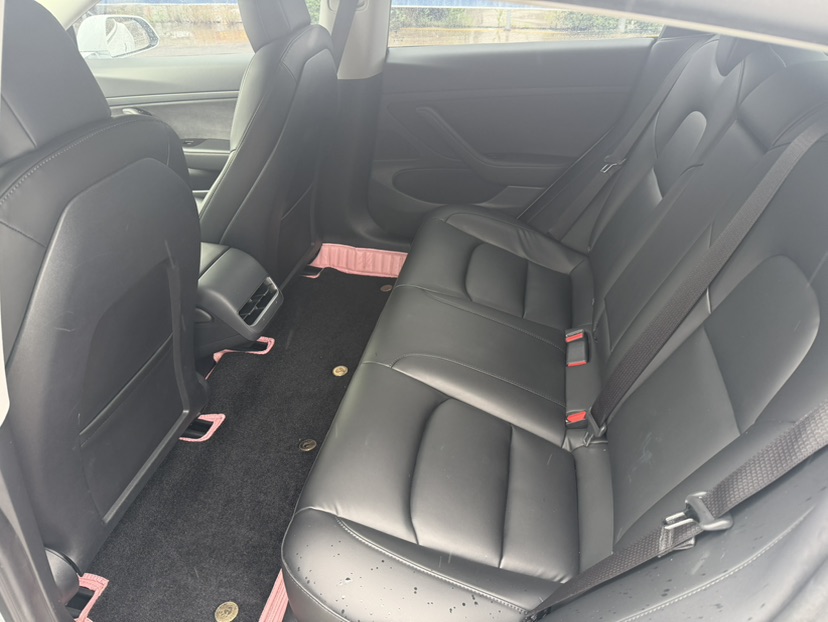Tesla Model 3 2020 immagine di auto #6