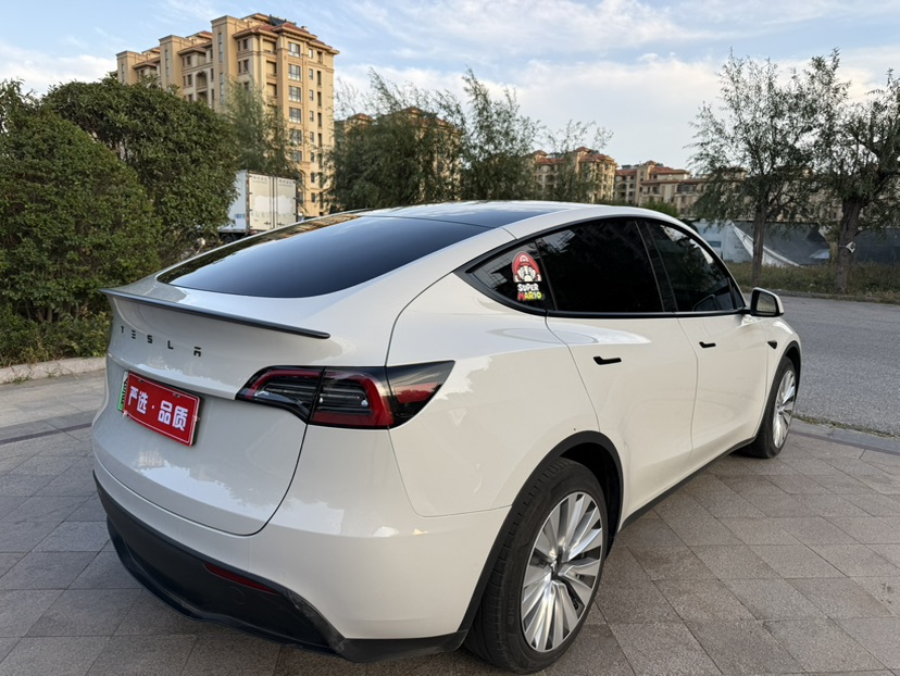 Tesla Model Y 2022 #6 Tesla Model Y 2022 car image #6
