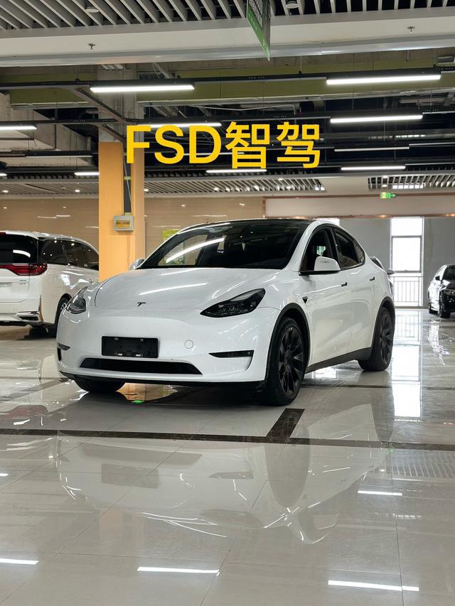 Tesla Model Y 2022 car image 
