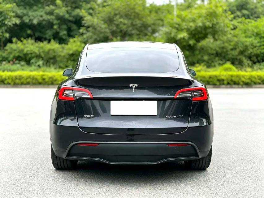 Tesla Model Y 2024 #8 Tesla Model Y 2024 car image #8