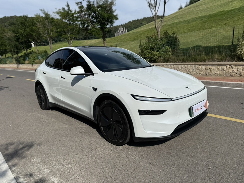 Tesla Model Y 2025 #3 Tesla Model Y 2025 immagine di auto #3