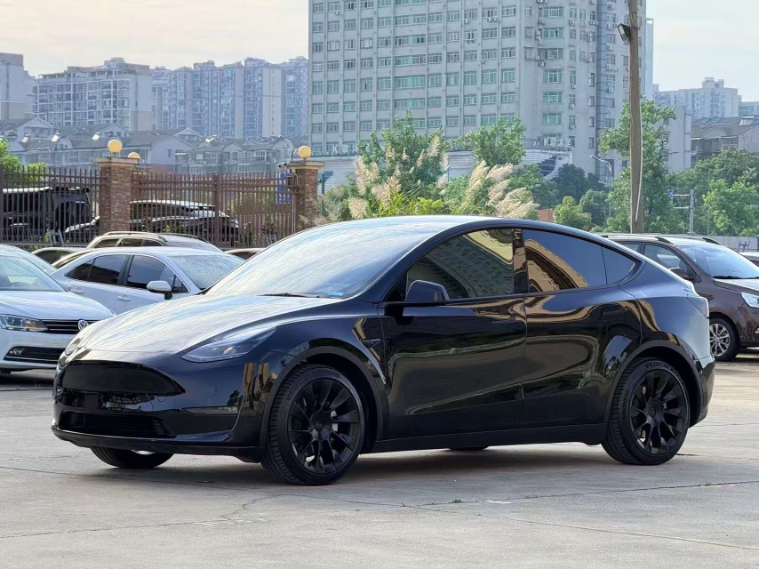Tesla Model Y 2021 car image 