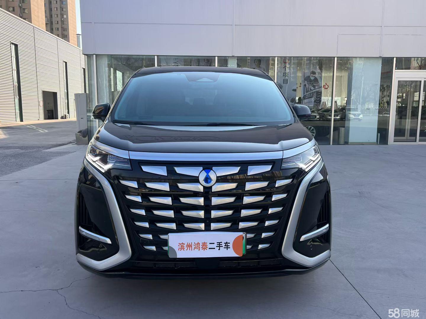 Denza D9 2023 immagine di auto #2