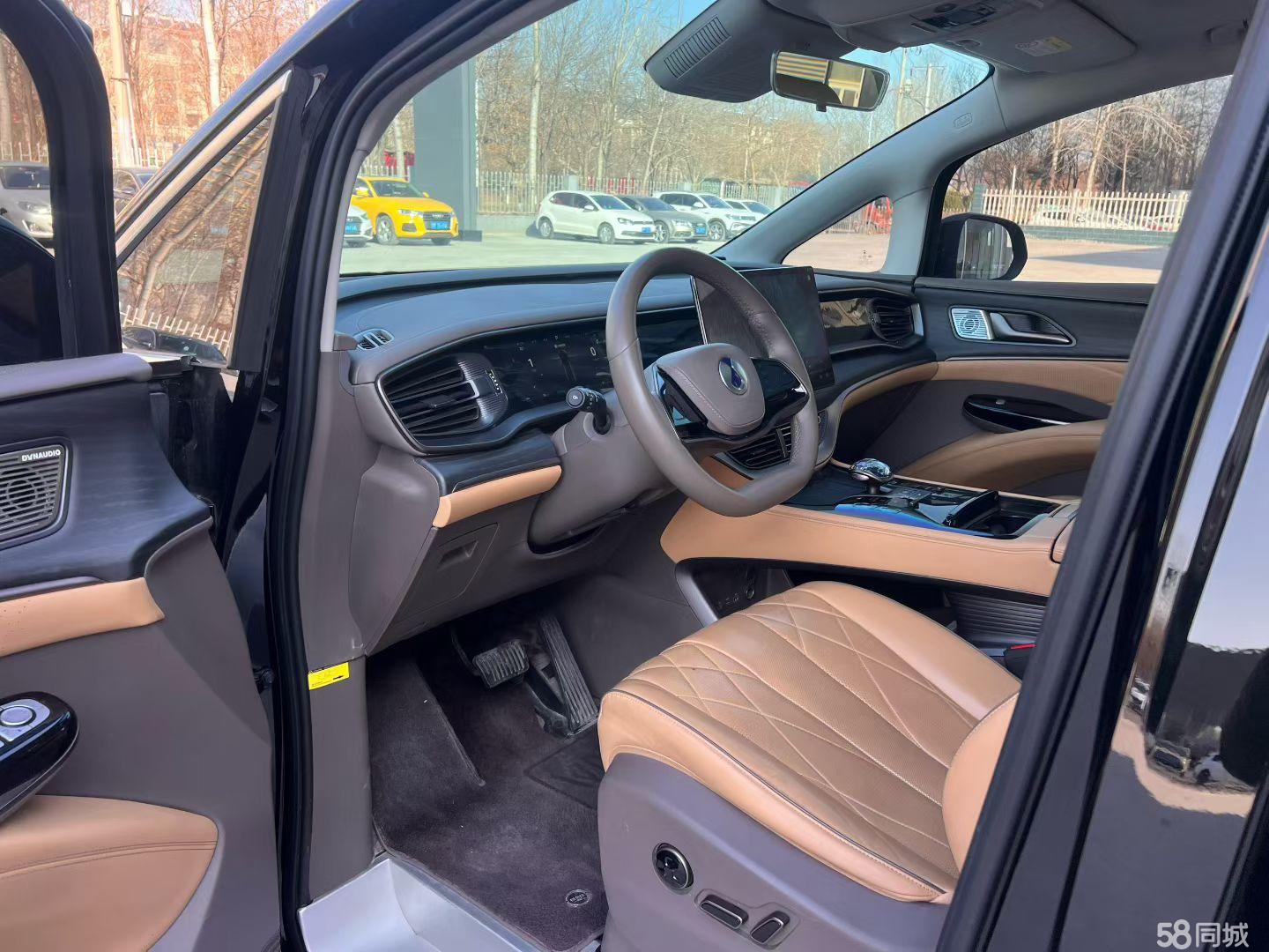 Denza D9 2023 immagine di auto #4